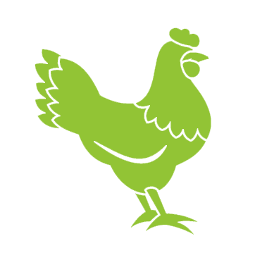 chicken